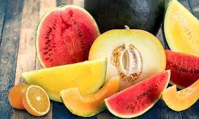 Clima seco requer alimentação especial