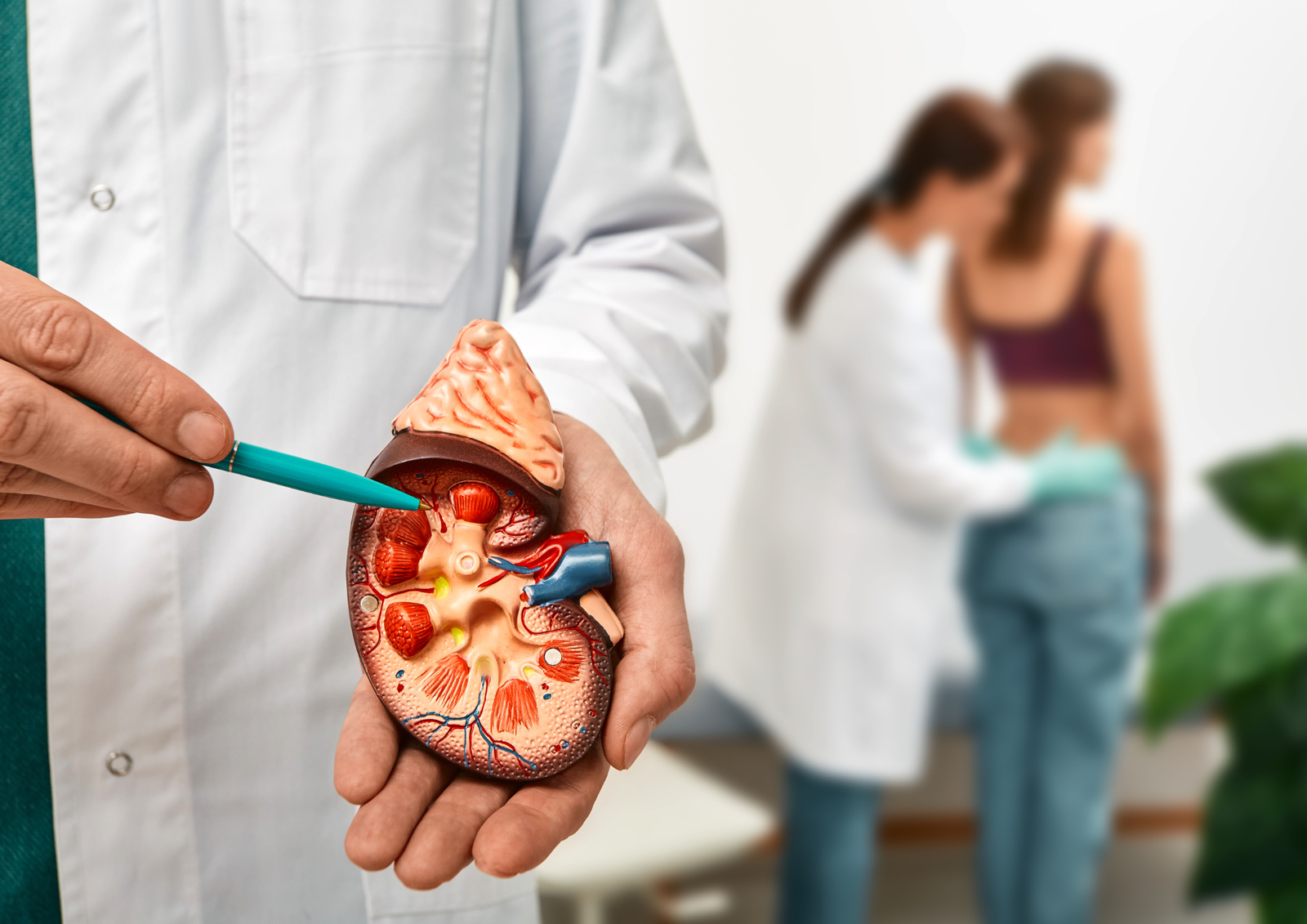 Urologista é só para homem? Saiba a importância do especialista para mulheres